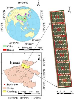 Precision estimation of winter wheat crop height and above-ground biomass using unmanned aerial vehicle imagery and oblique photoghraphy point cloud data